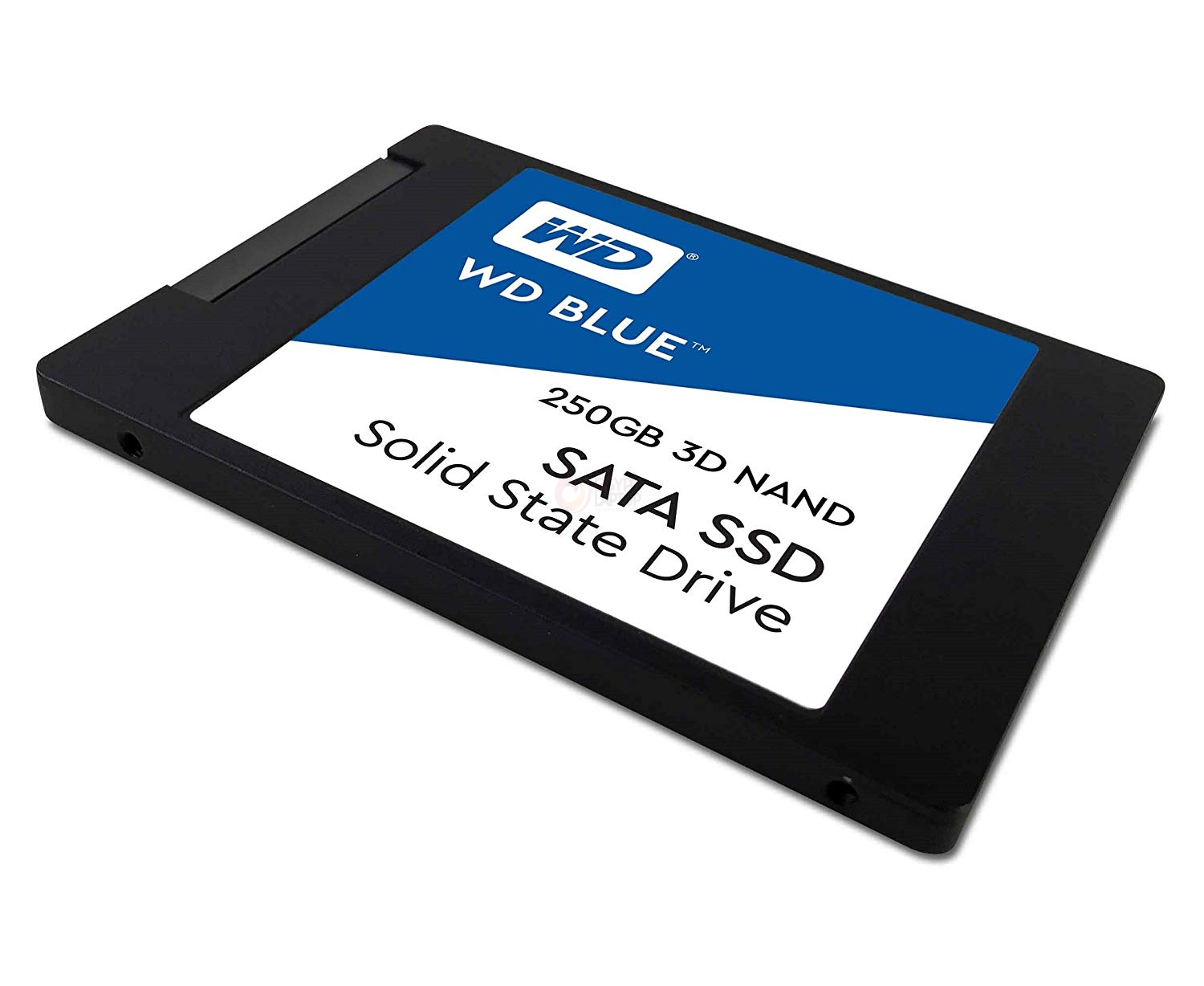 SSD Drive